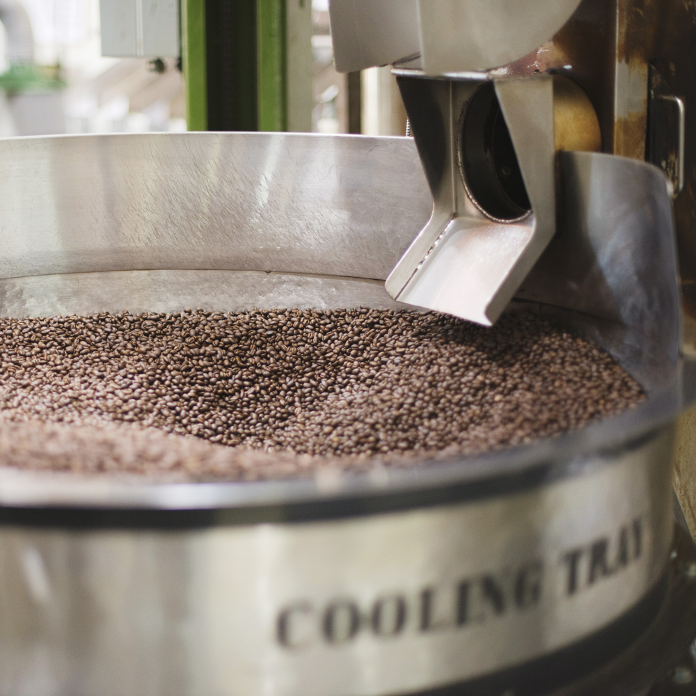 Can you Freeze Coffee Beans?