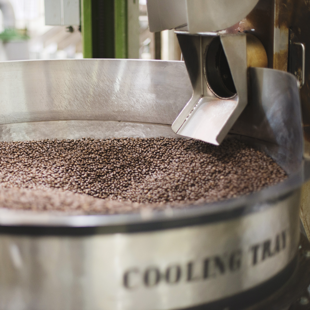 Can you Freeze Coffee Beans?